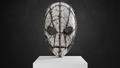 Starfall Mask